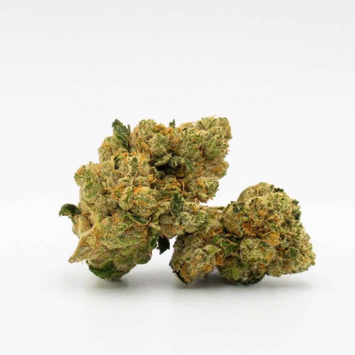 Amnesia Haze Feminisierte