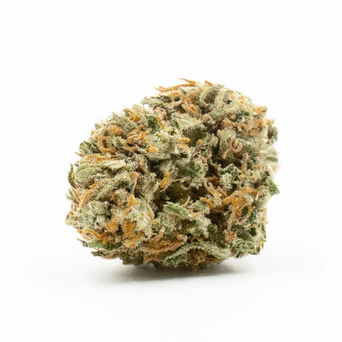 Jack Herer Feminisierte