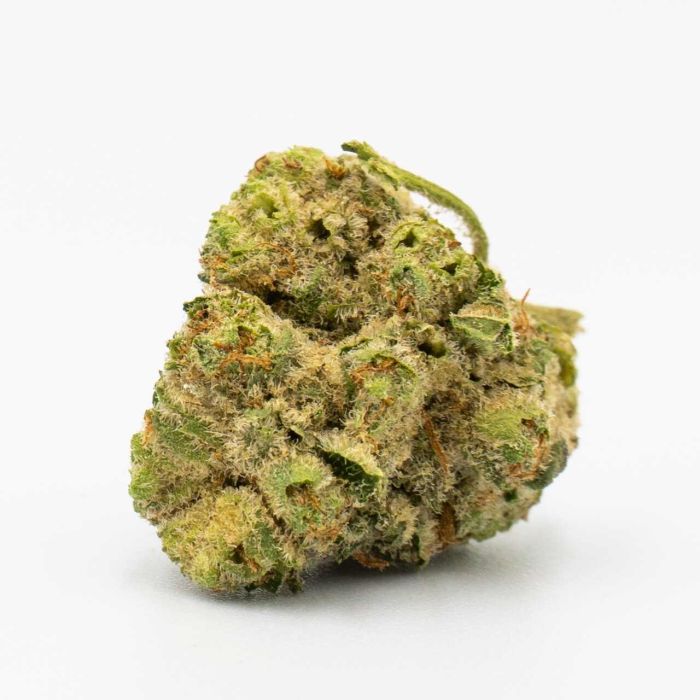 Blue Princess Fast Version