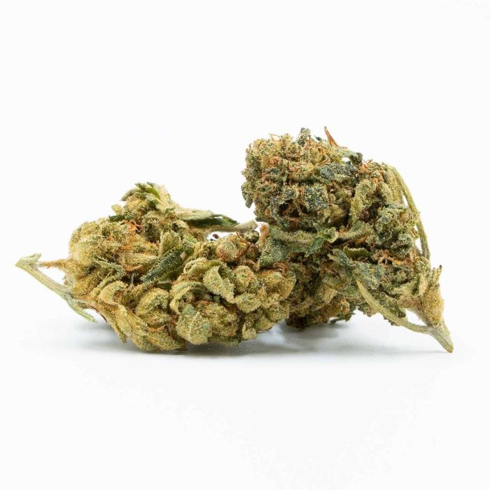 White Widow Feminisierte