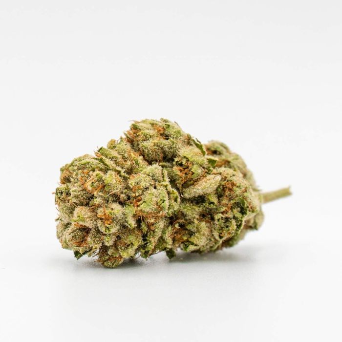 Super Skunk Feminisierte