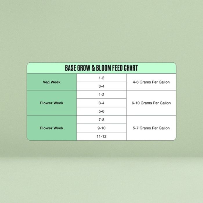 Base Grow & Bloom Nutrients