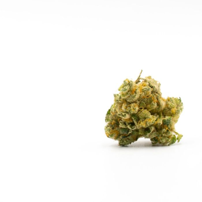 Do-Si-Dos Autoflower