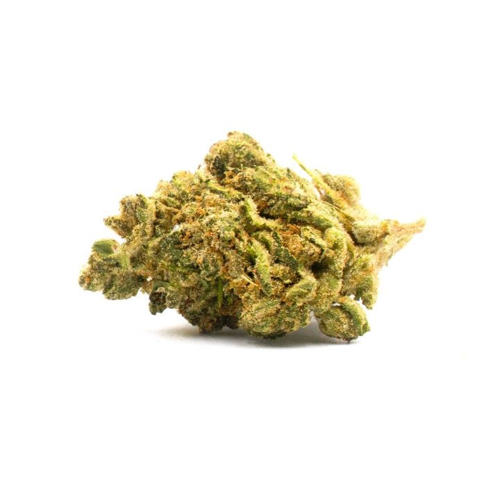 Baked Apple Feminisierte