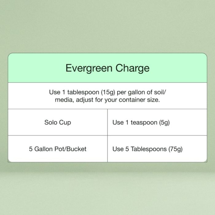 Evergreen Charge - NPK Controlled Release Fertilizer