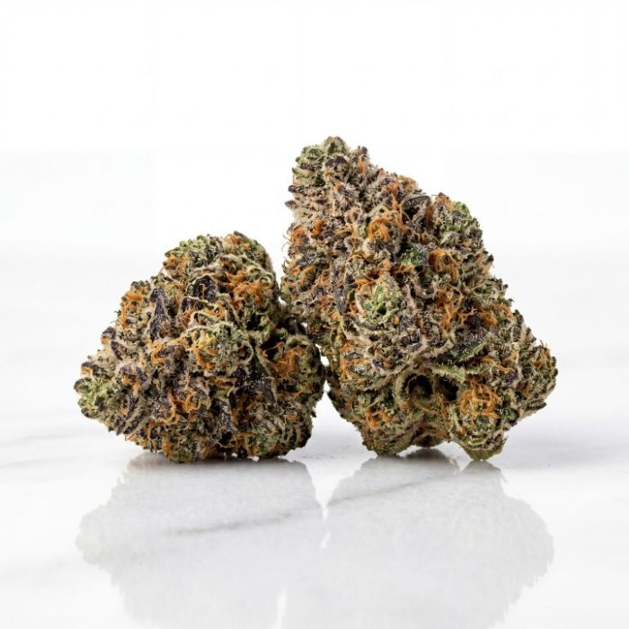 Frosted Gelato 41 Feminisierte