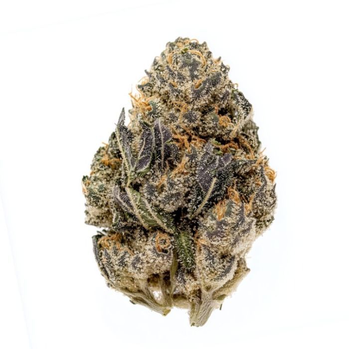 Red Runtz Feminisierte