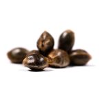 Super Skunk Feminisierte