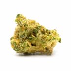 Northern Lights Feminisierte