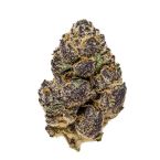 Black Cat Kush Feminisierte